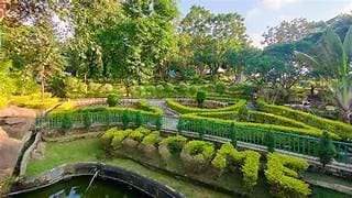 Rock Garden - Image 2